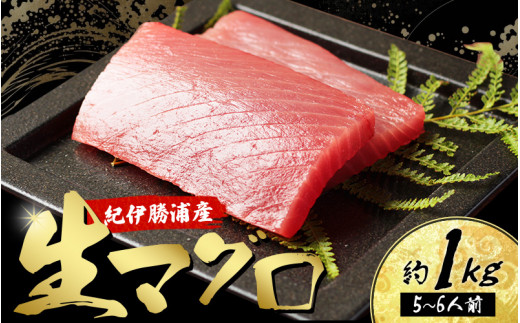 産地直送！ 紀伊勝浦産 天然生マグロ 約1kg(5~6柵)  冷蔵便 ※ビンチョウ・キハダ・メバチのいづれかをお届け まぐろ マグロ 鮪 生マグロ 刺身 柵 海鮮 海の幸 魚 魚介 新宮市【sko003】