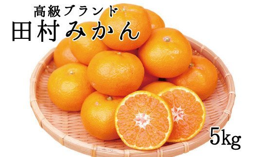 高級ブランド 田村みかん 5kg【予約】※2024年11月下旬頃〜2025年1月下旬頃に順次発送予定(お届け日指定不可)/みかん ミカン 有田みかん ブランドみかん 柑橘 果物 フルーツ 旬 先行 予約【uot504】