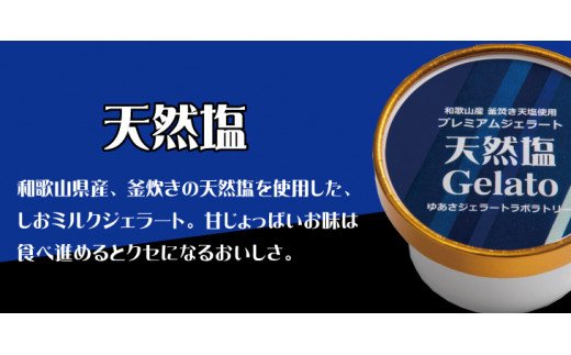 プレミアムジェラート 天然塩12個セット アイスクリームセット 100mlカップ ゆあさジェラートラボラトリー【sgtb700-04】