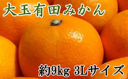 【食べごたえ十分】有田みかん大玉約9kg（3Lサイズ・秀品）　※2024年11月中旬〜1月中旬頃順次発送予定（お届け日指定不可）【tec879】