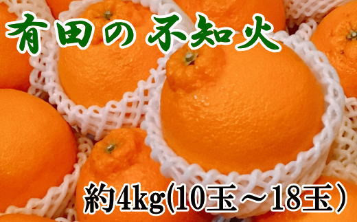 【濃厚】有田の不知火約4kg（10玉〜18玉おまかせ） ※2025年2月上旬〜2025年3月下旬頃に順次発送予定（日付指定不可）【tec862A】