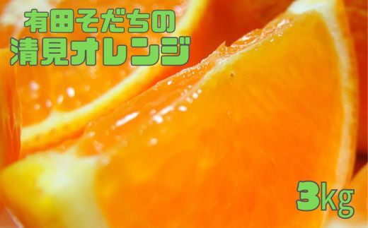【2025年2月下旬〜3月下旬順次発送予定】有田育ちの完熟清見オレンジ(ご家庭用)　約3kg【ard016A】