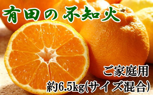 【濃厚】有田の不知火 約6.5kg ご家庭用向け（サイズ混合） ※2025年2月中旬〜2025年3月上旬頃に順次発送予定（日付指定不可）【tec864】