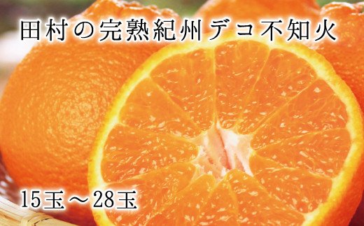 高級ブランド田村の完熟紀州デコ(不知火)　※2025年2月中旬頃〜3月中旬頃に順次発送予定(お届け日指定不可) 【uot731】