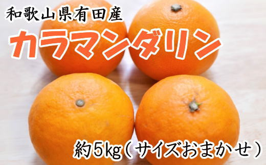 【濃厚春みかん】和歌山有田産カラマンダリン約5kg（サイズおまかせ）※2025年4月上旬〜4月中旬頃に発送予定（お届け日指定不可）【tec927A】