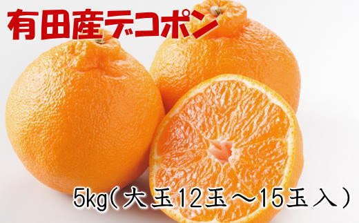 【お味濃厚】紀州有田産の大玉デコポン約5kg(12玉〜15玉入り・青秀以上) ※2025年1月中旬〜3月中旬頃順次発送【tec811A】