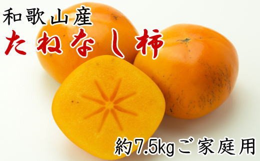 【秋の味覚】和歌山産のたねなし柿ご家庭用約7.5kg※2024年10月上旬〜11月上旬頃順次発送【tec410A】