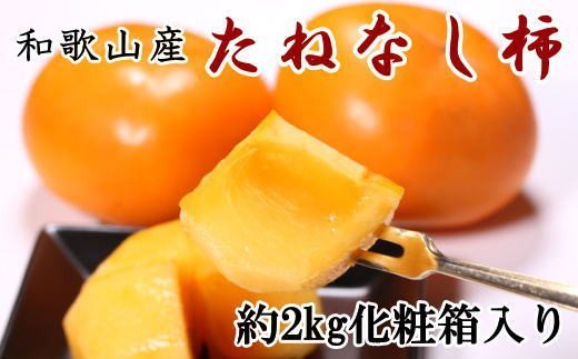 【秋の味覚】和歌山産のたねなし柿2L〜4Lサイズ約2kg（化粧箱入り）※2024年10月上旬〜2024年11月上旬頃発送【tec408】