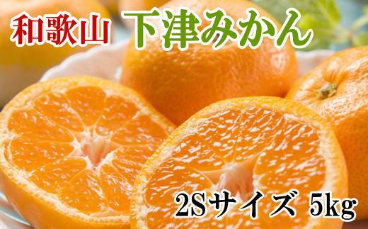 【産直・秀品】和歌山下津みかん　5kg(2Sサイズ) ※2024年11月中旬〜2025年1月中旬頃に順次発送【tec868】