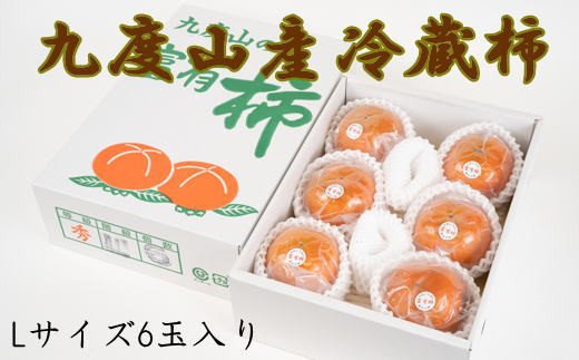 【まごころ栽培】九度山の冷蔵富有柿Lサイズ6玉入り＜2025年1月中旬〜2025年2月下旬頃に順次発送＞【tec411】