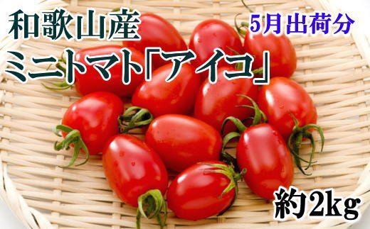 【2025年5月出荷分】和歌山産ミニトマト「アイコトマト」約2kg（S・Mサイズおまかせ）【tec100-5】