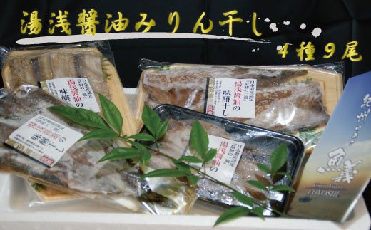 和歌山の近海でとれた新鮮魚の湯浅醤油みりん干し4品種9尾入りの詰め合わせ【tec200A】