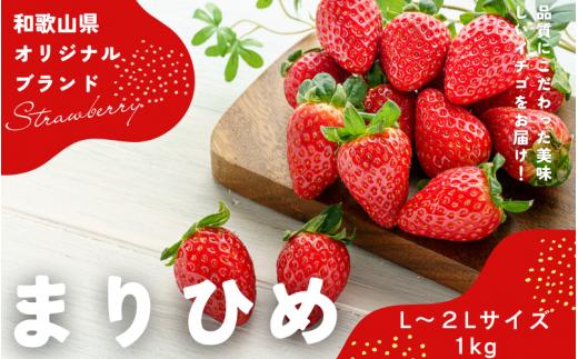 【先行予約】まりひめ いちご 12粒〜15粒入り×4パック（1kg）2025年1月初旬〜2025年3月末頃に順次発送予定（お届け日指定不可）/ いちご 苺 まりひめ 和歌山 フルーツ 果物 くだもの【kgr008】