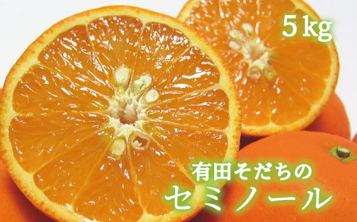 【2025年4月より順次発送】有田育ちの爽快セミノールオレンジ(ご家庭用)　約5kg【ard025A】