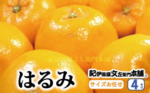 はるみ 約4kg/サイズおまかせ　※2024年1月下旬～3月中旬頃に順次発送予定(お届け日指定不可)　紀伊国屋文左衛門本舗　【sgtb460A】