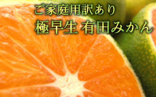 先行予約 【初秋の美味】有田育ちのご家庭用訳あり濃厚極早生有田みかん　約10kg【サイズ混合】【ard053A】