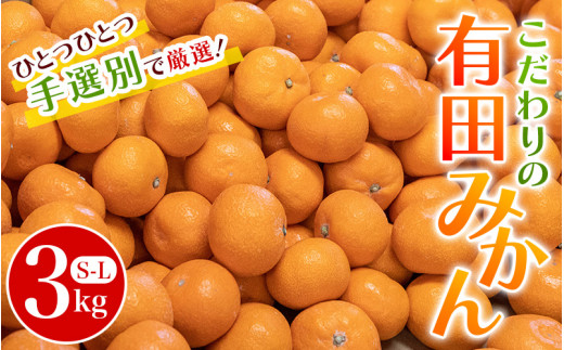 こだわりの和歌山県産 有田みかん 3kg(S〜Lサイズ) ひとつひとつ手選別で厳選！生産者から直送 【2024年11月下旬〜1月中旬ごろに順次発送予定】 / みかん フルーツ 果物 くだもの 有田みかん 蜜柑 柑橘【hdm004】