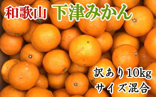 【産直】和歌山下津みかん　10kg（訳ありサイズ混合）※2024年11月中旬〜2025年1月中旬頃に順次発送【tec885】