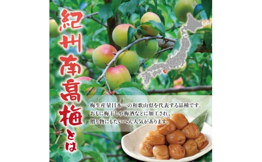 紀州南高梅　うす塩【ハチミツ無】 塩分10%（750g）なかやまさんちの梅干 うめ ウメ 梅干し【nky002-175k】