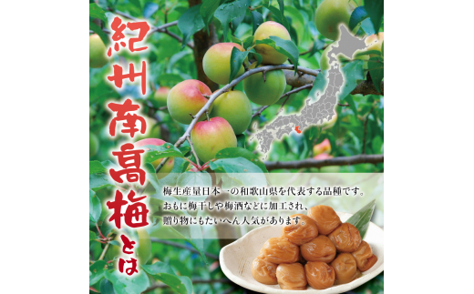 紀州南高梅　＜つぶれ梅＞うす塩1.5kg【ハチミツ入】塩分10%　なかやまさんちの梅干【nky014-115k】