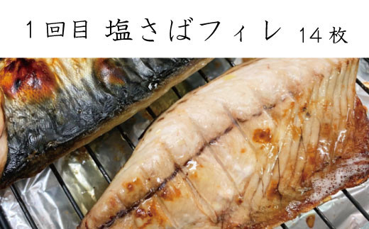 【全3回定期便】和歌山からお届け おさかな定期便 / サバ ウナギ サケ 鰻 鮭 鯖 海鮮 冷凍 おかず 魚 お魚 定期便【tkb131】