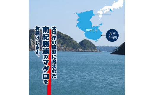 まぐろ とろ煮 180g×3個 / 鮪 マグロ 煮 角煮 おかず おつまみ ご飯のお供 人気 トロ 南紀勝浦【ttk007】