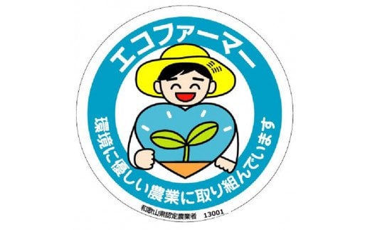 【 県認定エコファーマー】タネなし脱渋甘柿（刀根早生）　Ｌサイズ36個入7.5kg箱【art001A】