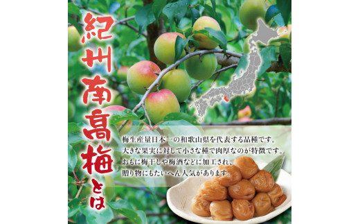 紀州南高梅 つぶれ梅 うす塩【ハチミツ入】塩分10%（500g）なかやまさんちの梅干 梅干し 梅干 梅 うめ ウメ【nky017-105k】