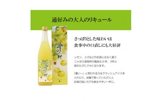 じゃばらのお酒 じゃばら村 720ml×2本（芳醇タイプ） 【njb441】