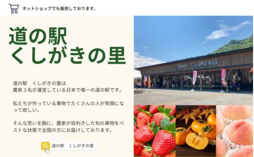 【先行予約】【数量わずか】あふれる果汁！ 希少な紅はっさく 秀品 5kg L〜２L 2025年1月初旬〜2025年3月末頃に順次発送予定（お届け日指定不可）/ ハッサク 八朔 紅八朔 紅はっさく フルーツ 柑橘 蜜柑 果物 くだもの【kgr006】