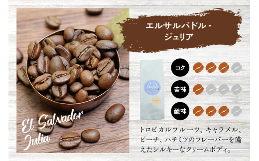 【挽き立て】（エルサルバドル）ドリップバッグコーヒー10袋セット コーヒー豆 焙煎 コーヒー セット ドリップコーヒー【hgo004-09】