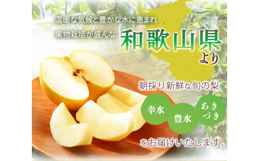 紀州和歌山産の梨 2kg 化粧箱入 ※2024年8月中旬〜9月中旬頃に順次発送 ※日付指定不可 梨 なし ナシ 果物 くだもの フルーツ 甘い【uot788】