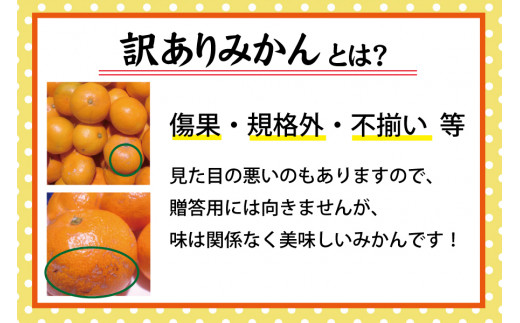 【訳あり】農家直送 有田みかん 約10kg 【11月中旬より1月中旬に順次発送】 先行予約 数量限定 ご家庭用 サイズ混合（お届け日指定不可）訳ありみかん 温州みかん 有機質肥料100% みかん・柑橘類ランキング4位【nuk138B】