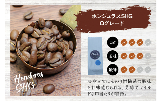 【挽き立て】（ホンジュラス）ドリップバッグコーヒー10袋セット コーヒー豆 焙煎 コーヒー セット ドリップコーヒー【hgo004-06】