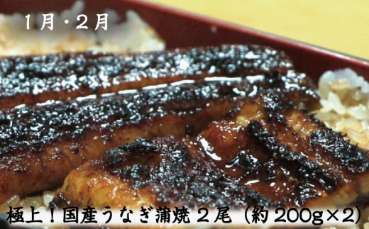 【新宮市】全6回 うまいもん定期便 / うなぎ 鰻 ウナギ 国産 和牛 牛肉 サーロイン ステーキ 肉 牛肉 熊野牛 冷凍 もも モモ 桃 まぐろ マグロ 鮪 天然 サブレ ドーナッツ 洋菓子 産直 特産品 ご当地 人気【tkb139】