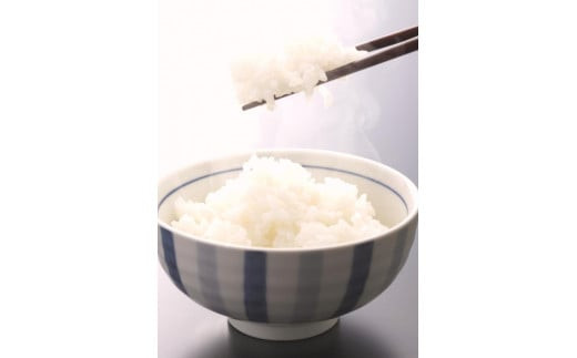 米 にじのきらめき 和歌山県産 5kg（2024年産）  産地直送 米 こめ ご飯 ごはん ※2024年9月25日以降順次発送予定 （お届け日指定不可）【sml115A】