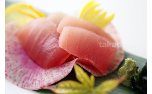 天然 びん長生マグロ 500g 鮮度抜群の生まぐろをお届けします / 生鮪 鮪 マグロ 生まぐろ ビンチョウマグロ 刺身【tka017】