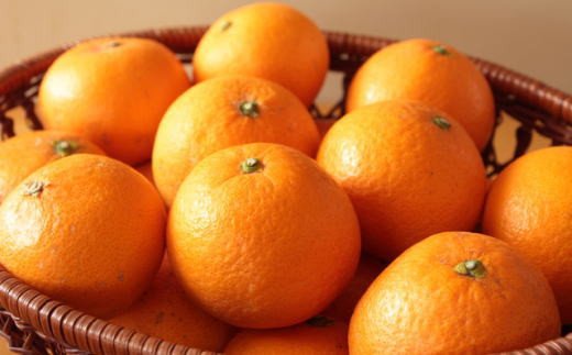 【産直】有田産清見オレンジ約5kg（サイズおまかせ・秀品）【tec866A】