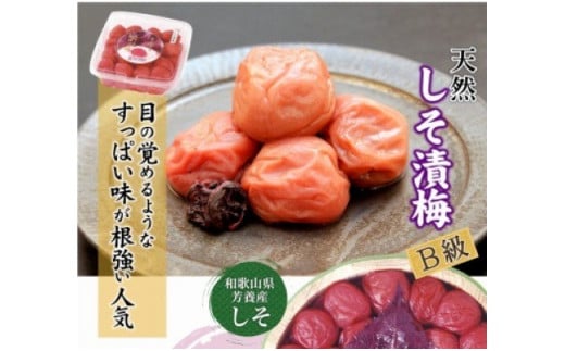 徳用　しそ漬梅１．８ｋｇ【紀の里食品】【kns014】