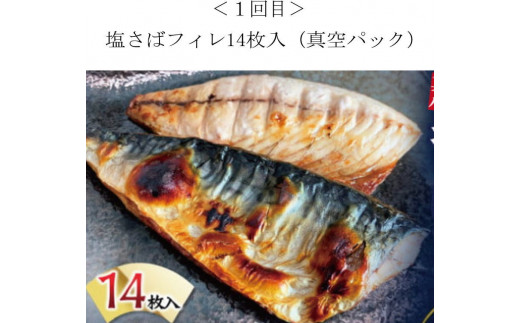 【全4回】家族みんなで楽しめる＼たっぷり容量ならコレ／絶品おかず定期便（さば・鰻・サケ・海鮮丼）【tkb305】