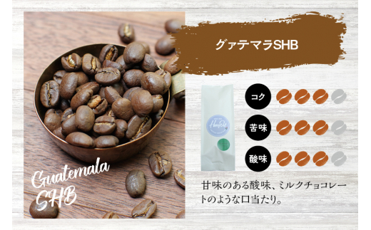 【挽き立て】（グァテマラ）ドリップバッグコーヒー10袋セット コーヒー豆 焙煎 コーヒー セット ドリップコーヒー【hgo004-07】
