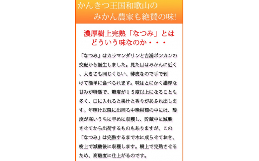 初夏のみかん　なつみ3kg　※2025年4月中旬〜2025年4月下旬頃に順次発送（お届け日指定不可）【uot753】