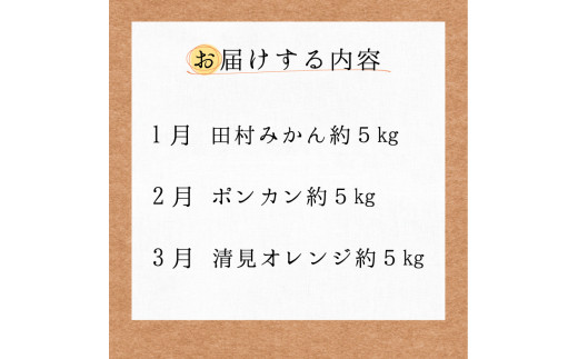 【3か月定期便】人気の柑橘を集めた！みかんの定期便【tkb111】