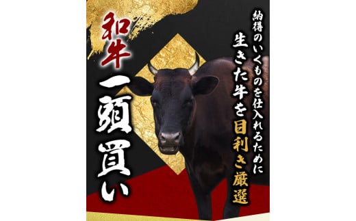 尾呂志屋精肉店の和牛こまぎれ 250g 【1か月以内に順次発送】 /  和牛 こまぎれ 小間切れ 牛肉 牛 精肉 【ors001】