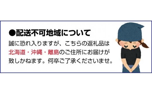 無添加・有田のジュース詰合せ1000ml×4本・4種【ikd105A】