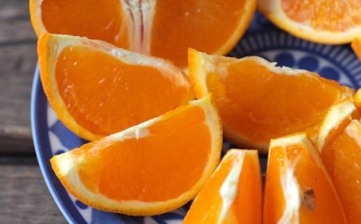 【訳あり・ご家庭用】和歌山由良町産の濃厚清見オレンジ約10kg　※2025年2月中旬〜2025年2月下旬頃（お届け日指定不可）【tec877】