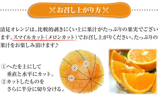 清見オレンジ約8kg / 果実サイズおまかせ ※2024年2月中旬〜4月下旬頃発送予定 / 紀伊国屋文左衛門本舗【sgtb401】