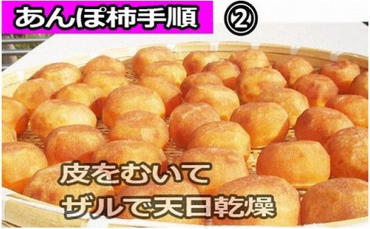 【県認定エコファーマー】あんぽ柿用生渋柿（平たねなし柿） 約4.5〜5kg（約20〜30玉）【10月下旬から順次発送】-AP【art003A】