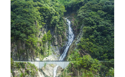 世界遺産巡り 熊野川 川舟下り乗船券（大人1名分）【kbn001】