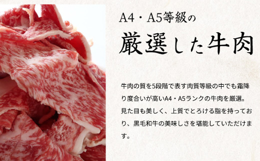 熊野牛 A4以上 霜降り 赤身 こま切れ 500g 【uot747】